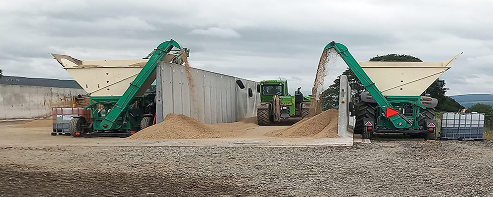 Grain processing machinery