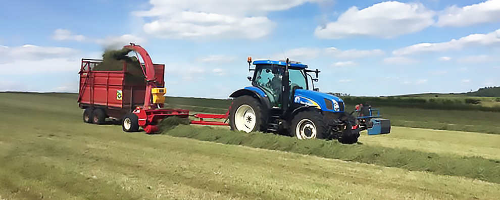 Pwder/granular applicator mounted on trailed forage harvester